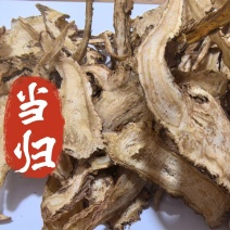 当归2个筛以上道地药材一手货源批发零售一件代发