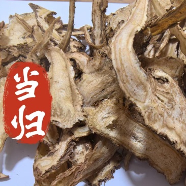 当归2个筛以上道地药材一手货源批发零售一件代发