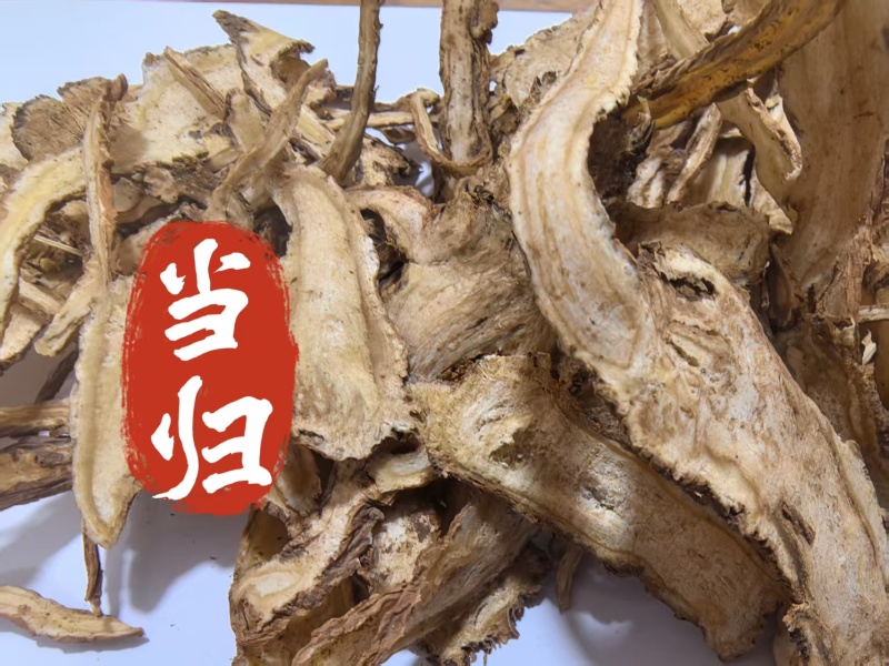 当归2个筛以上道地药材一手货源批发零售一件代发