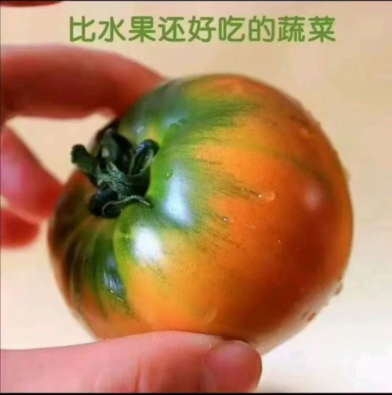 《包邮》辽宁盘锦碱地柿子基地直发一件代发对接全国3斤装