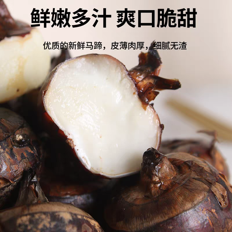 荔浦马蹄，荸荠广西水果马蹄，精品水果马蹄，大量供应超