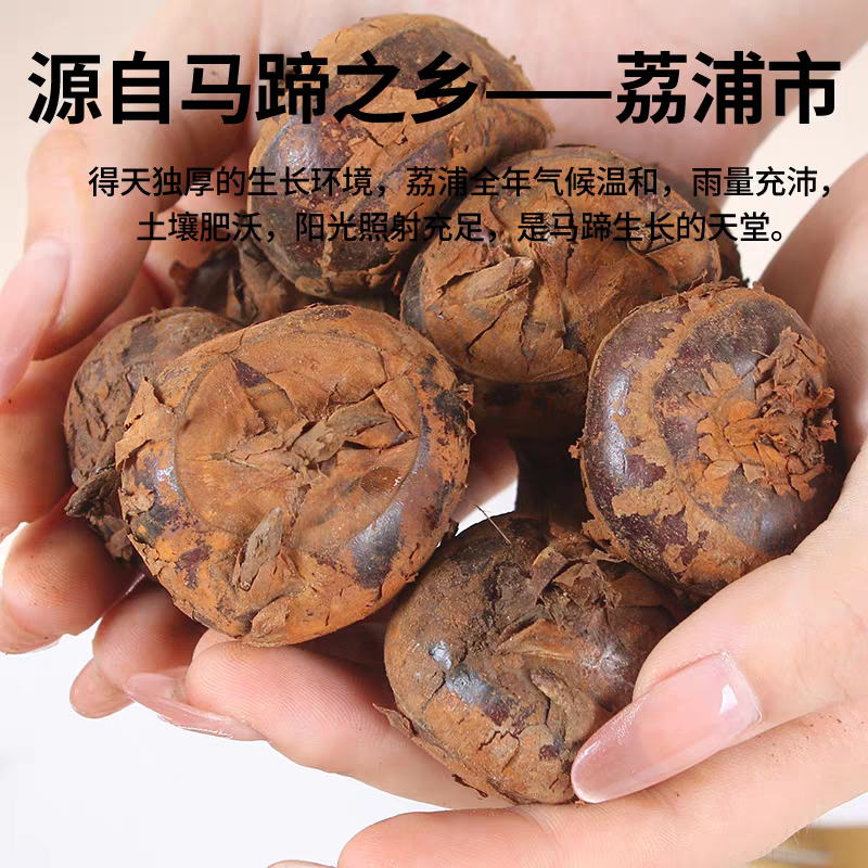 荔浦马蹄，荸荠广西水果马蹄，精品水果马蹄，大量供应超