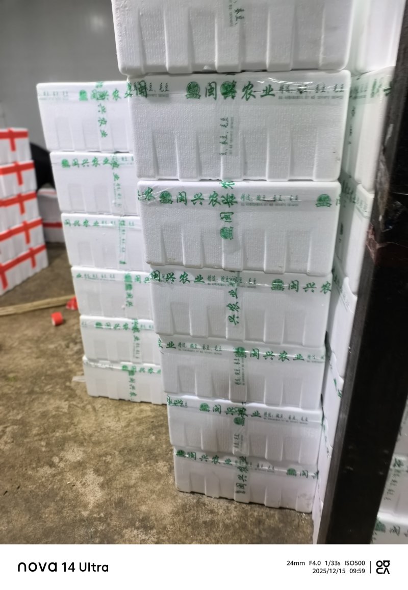 保山长寿豆豌豆上市了，颗粒饱满长短均匀，口感**