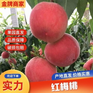 河北唐山乐亭陆地突桃水蜜桃上市供应商超市场电商奶茶