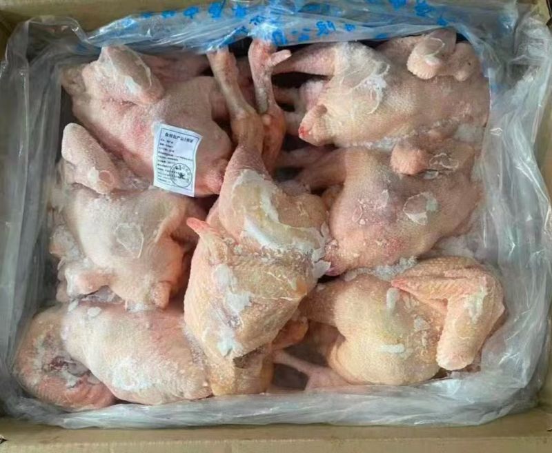 白条鸡，西装鸡，中装鸡，三黄鸡厂家源头直供
