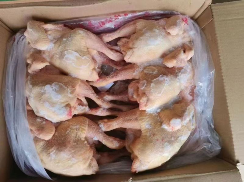 白条鸡，西装鸡，中装鸡，三黄鸡厂家源头直供