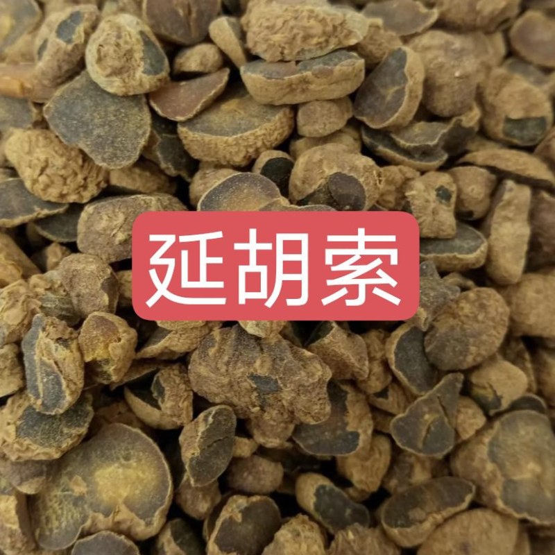 延胡索中药材欢迎各位老板来电咨询订购