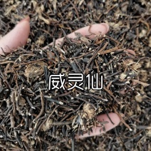 威灵仙中药材欢迎各位老板来电咨询订购