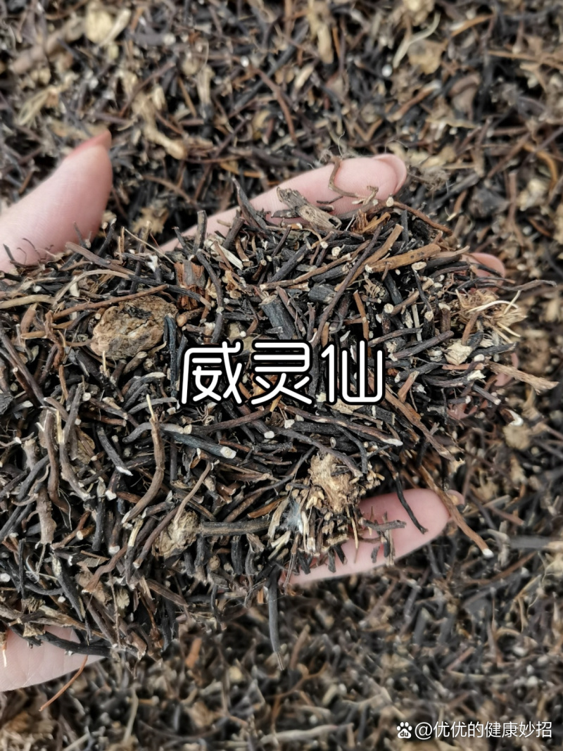 威灵仙中药材欢迎各位老板来电咨询订购