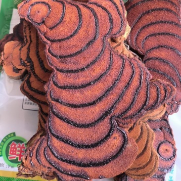 鸡血藤中药饮片中药材欢迎各位老板来电咨询订购