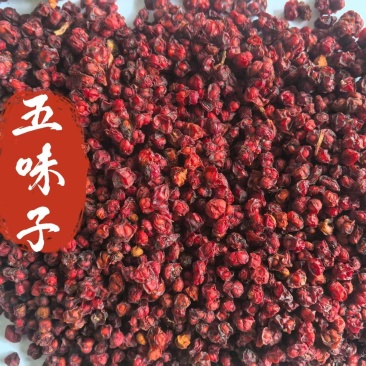 五味子辽五味北五味一手货源批发零售量大从优