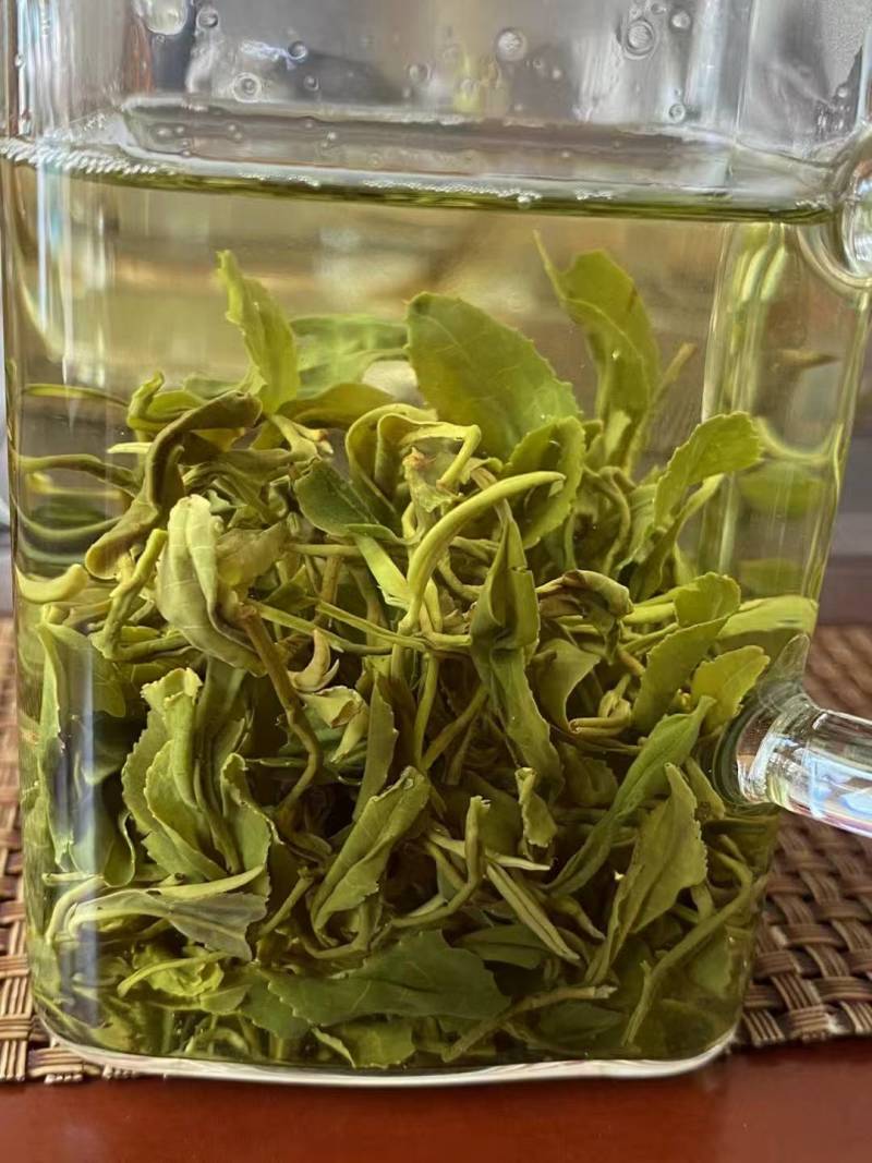 日照正宗秋茶品质保证产地直销大量有货欢迎联系