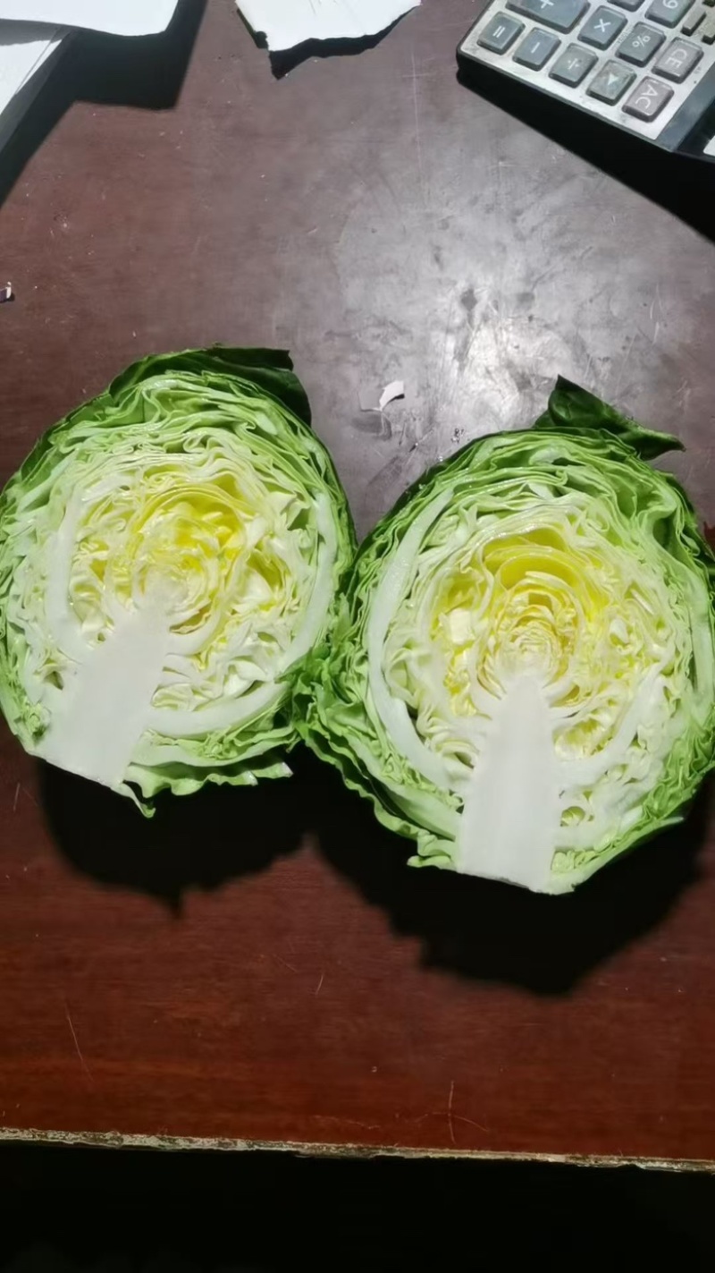 滦南县精品甘蓝，对接商贸团购，批发市场，可视频验货