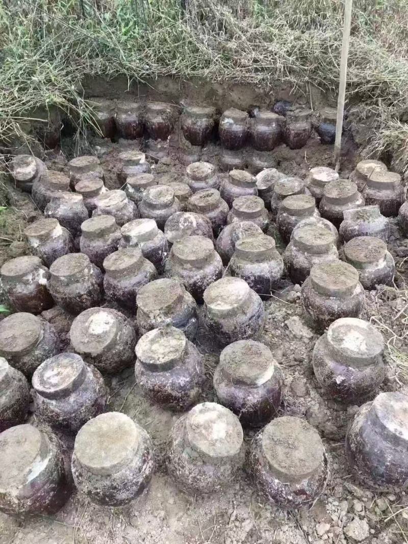 窖酒粤北地窖白酒二到八年窖藏全国可发货下单前商议运费