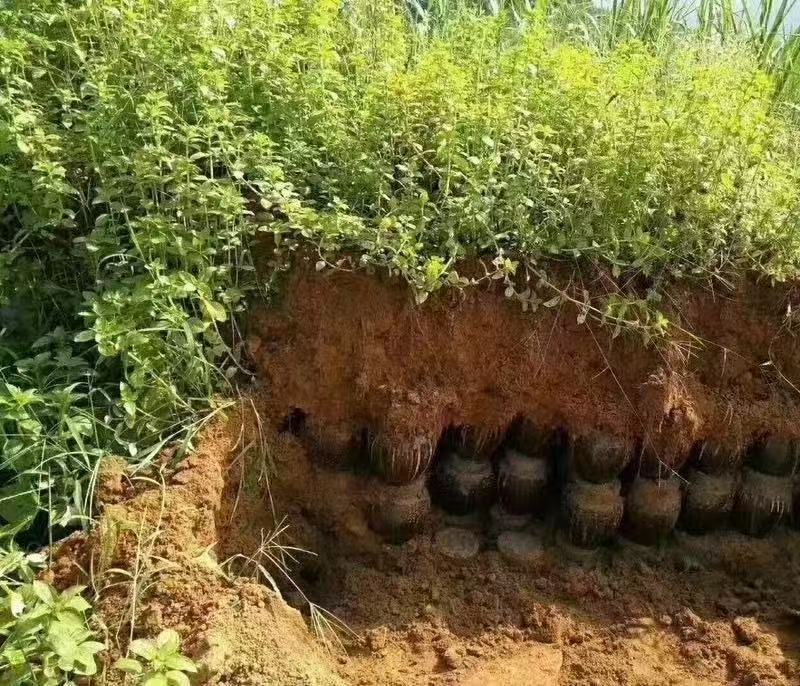 窖酒粤北地窖白酒二到八年窖藏全国可发货下单前商议运费
