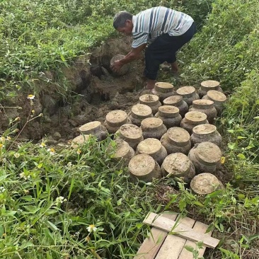 窖酒粤北地窖白酒二到八年窖藏全国可发货下单前商议运费