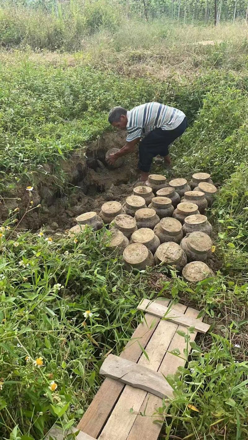 窖酒粤北地窖白酒二到八年窖藏全国可发货下单前商议运费