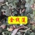 金线莲中药材欢迎各位老板来电咨询订购