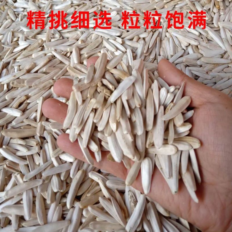 牙签瓜子