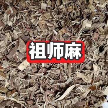 祖师麻金腰带中药饮片欢迎各位老板来电咨询订购