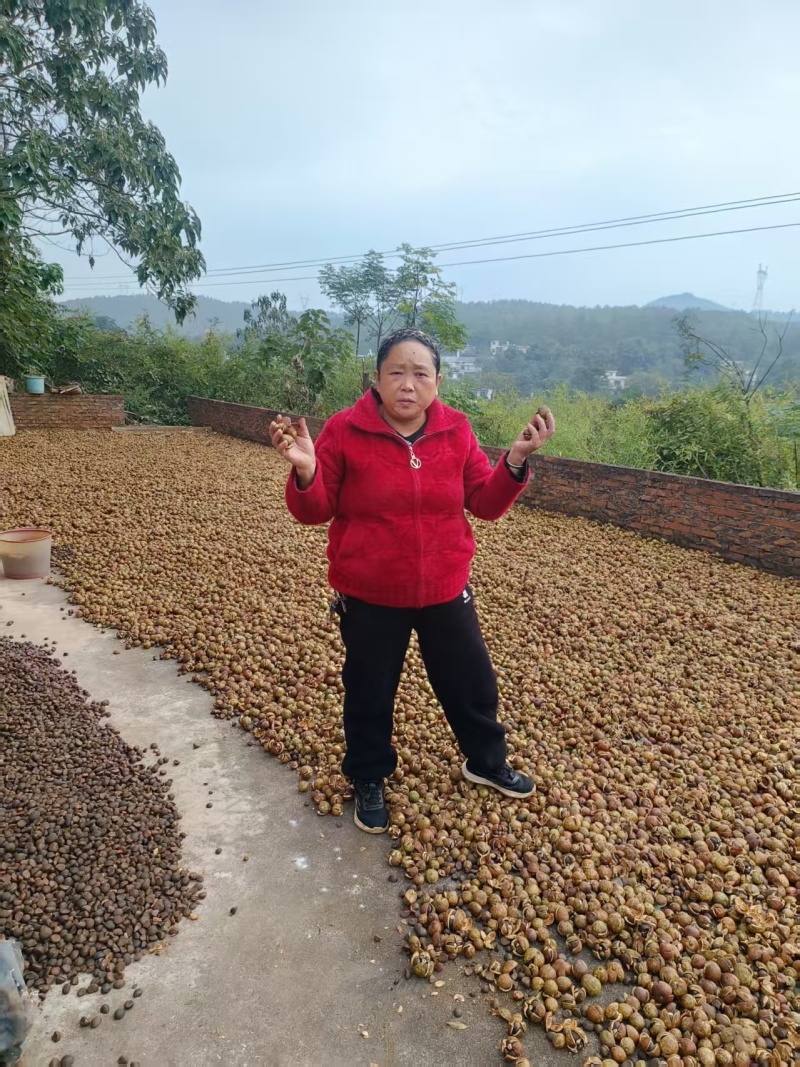 【推荐】山茶油/品质保证/视频看货/支持批发一件代发
