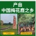 吉林鹿乡鹿心滋补膏古法熬制老方子梅花鹿鹿心丸鹿心粉
