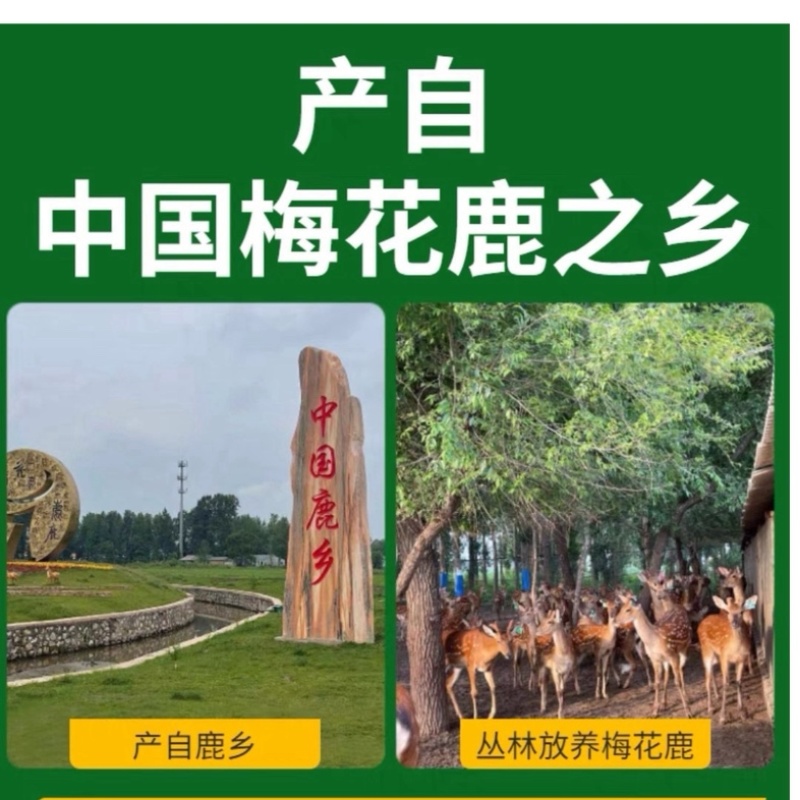 吉林鹿乡鹿心滋补膏古法熬制老方子梅花鹿鹿心丸鹿心粉