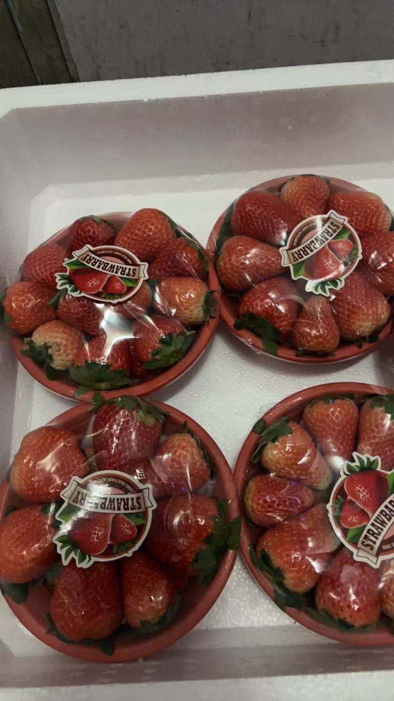 宁玉草莓