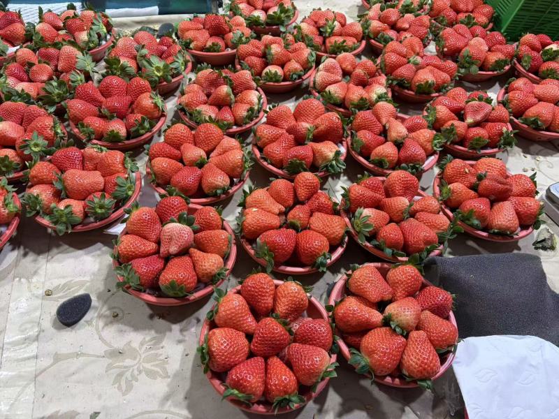 宁玉草莓