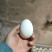 山东大白鹅蛋养殖场自产自销全国发货欢迎随时联系