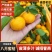 精选【八月橘】广西柑橘/现摘现发/承接整车/全国发货