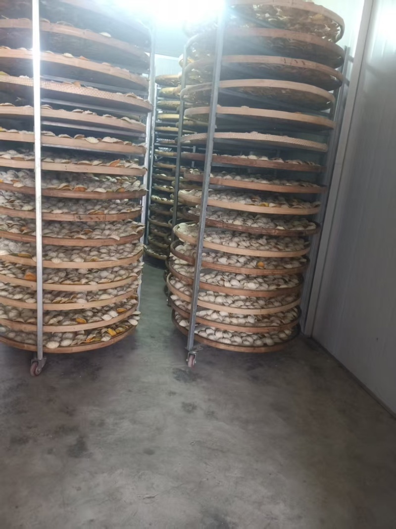 正宗陈皮新会陈皮规格齐全自然生晒纯核心产区