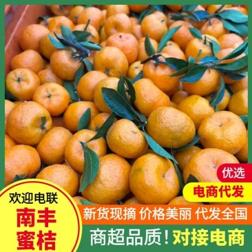 广西南丰蜜橘新鲜橘子产地直发一手货源电商市场商超