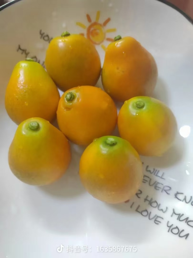 脆蜜金桔，广西金桔，大量供应，**供应商，一手货源
