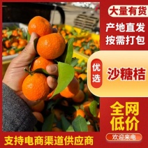 《广西沙糖桔》砂糖橘/甜度高品质好/规格齐全/欢迎来电洽谈