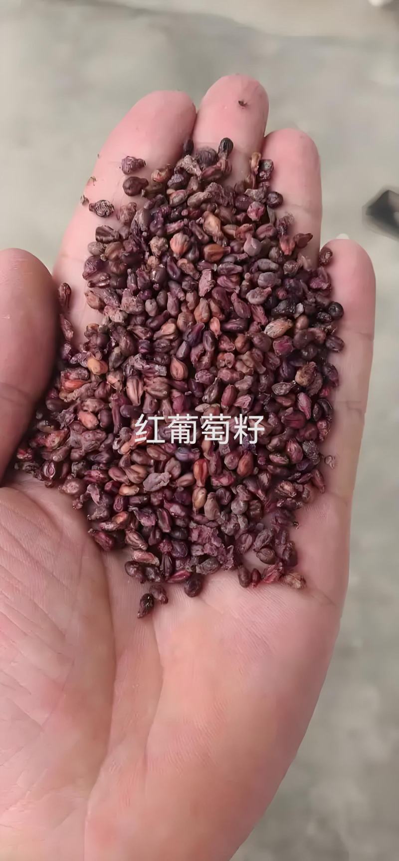 大量优质红白葡萄籽，牛羊鸡畜禽养殖育肥，营养价值高