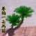 一宅一花四季绿植微景观精致卷柏草老桩室内懒人养护