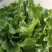 生菜