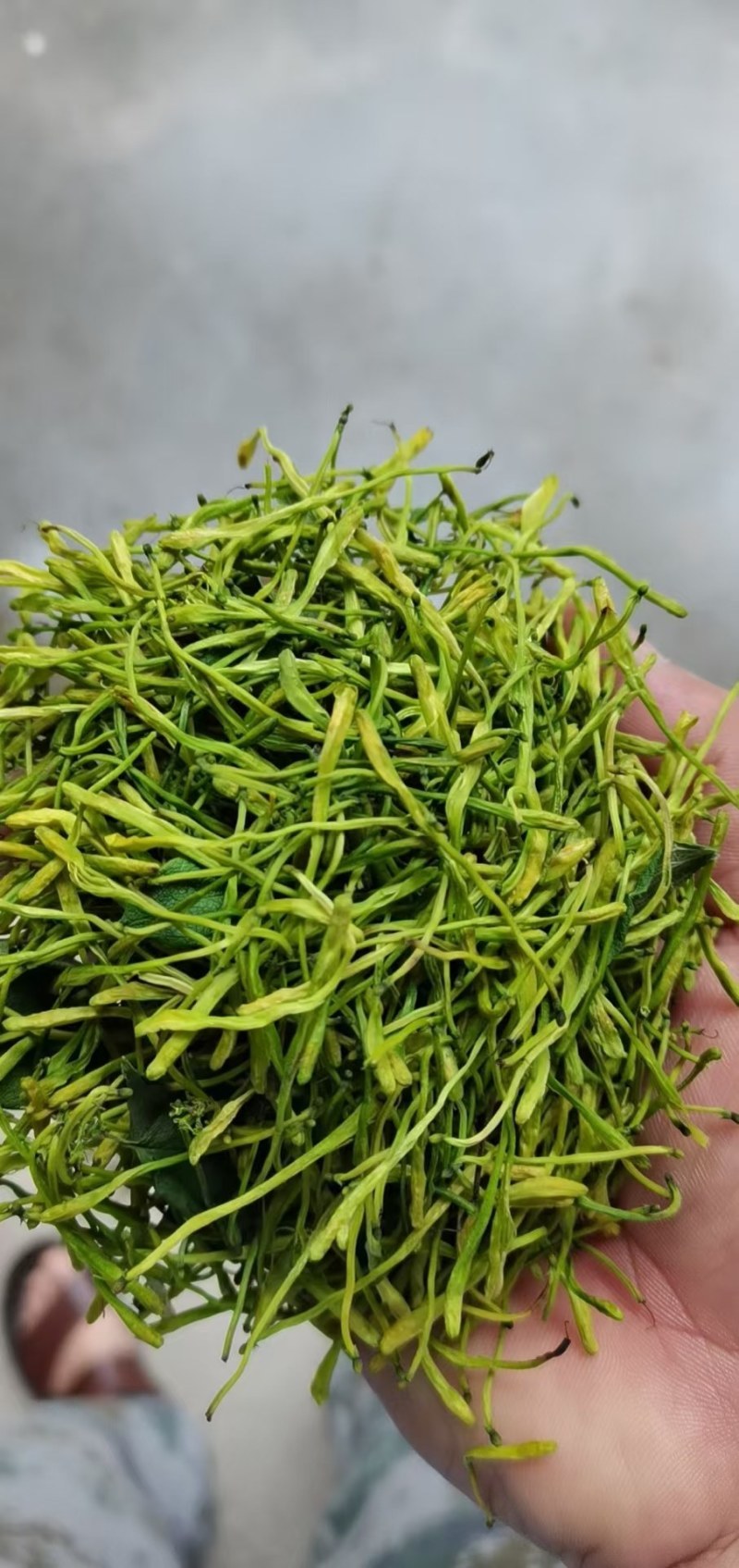 山银花中药材正宗湖南山银无硫熏***正品山银花