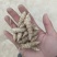 螺丝菜玉环