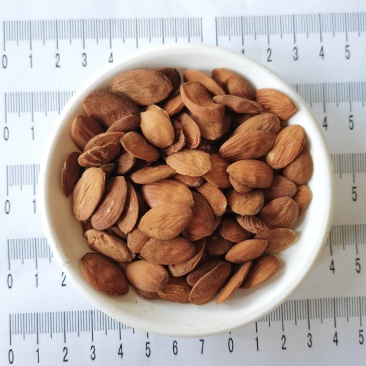 桃仁家桃仁去皮带皮炒桃仁规格全质量优手机实拍