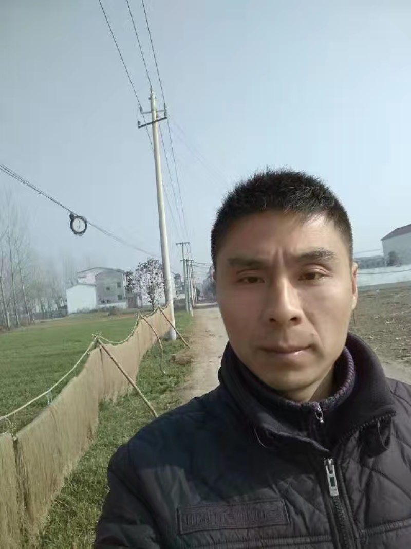 手工纯红薯粉条