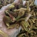 精品黄皮无花果干软糯香甜批发电商货特别好吃