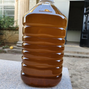 高山茶油