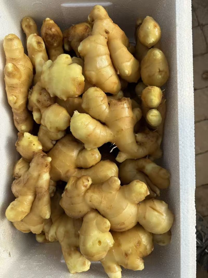 生姜，大黄姜水洗货