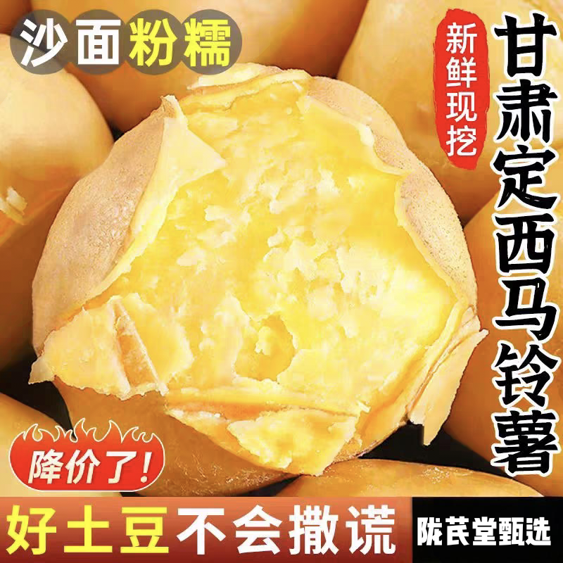 甘肃省定西市陇十土豆