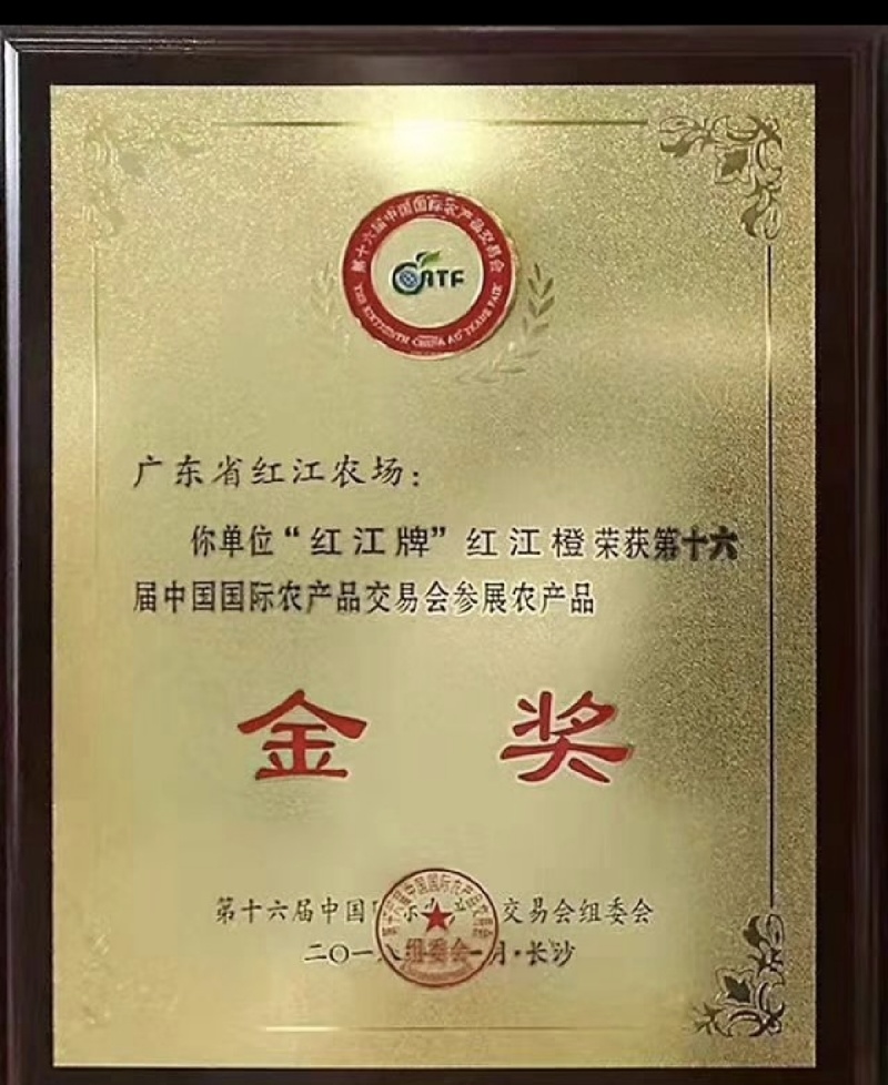 红江橙新鲜现摘爆汁清甜核心产区直供