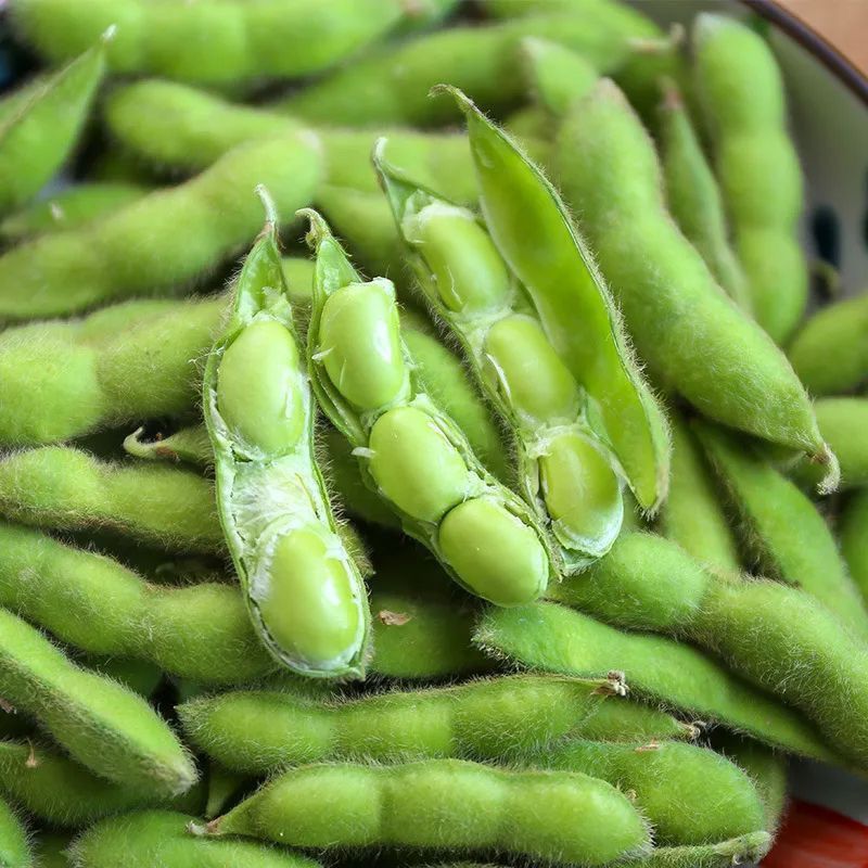 开科源5号大荚翠绿宝毛豆种子高产抗病香甜柔糯大荚青豆毛豆