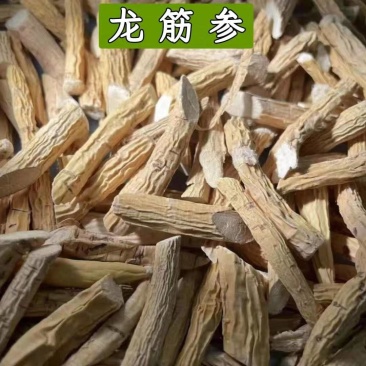 野生龙筋参无硫新货百搭茶中药材龙筋参诚信经营批发