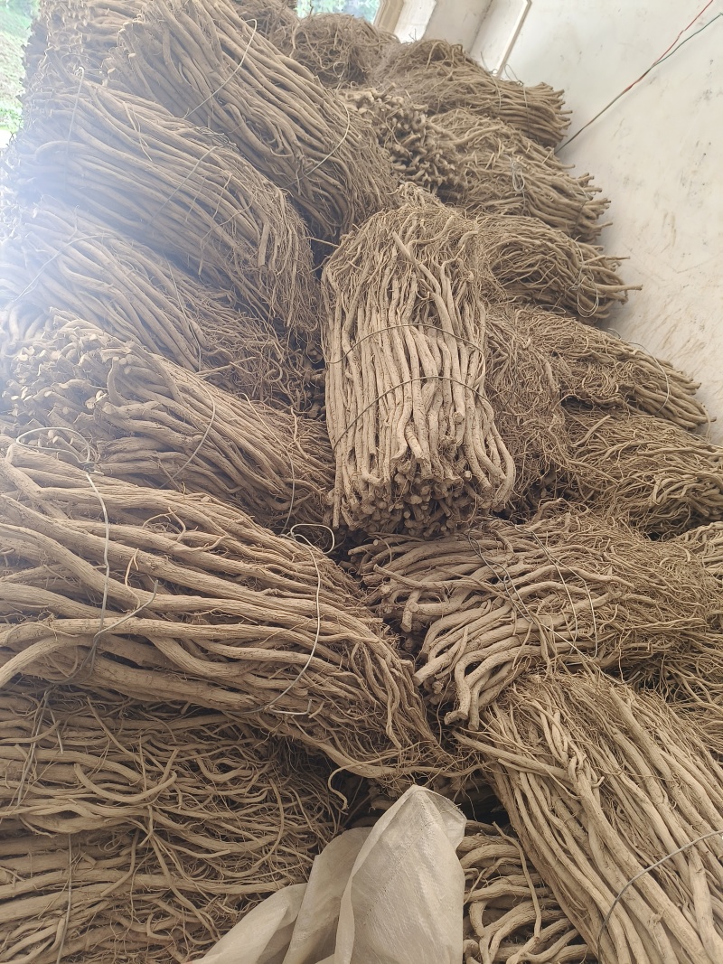 牛膝大量有货欢迎新老客户选购！